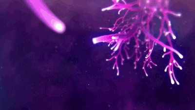 giphy-5