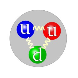Quark structure proton