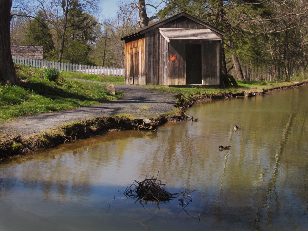 Image of Fishing Spot