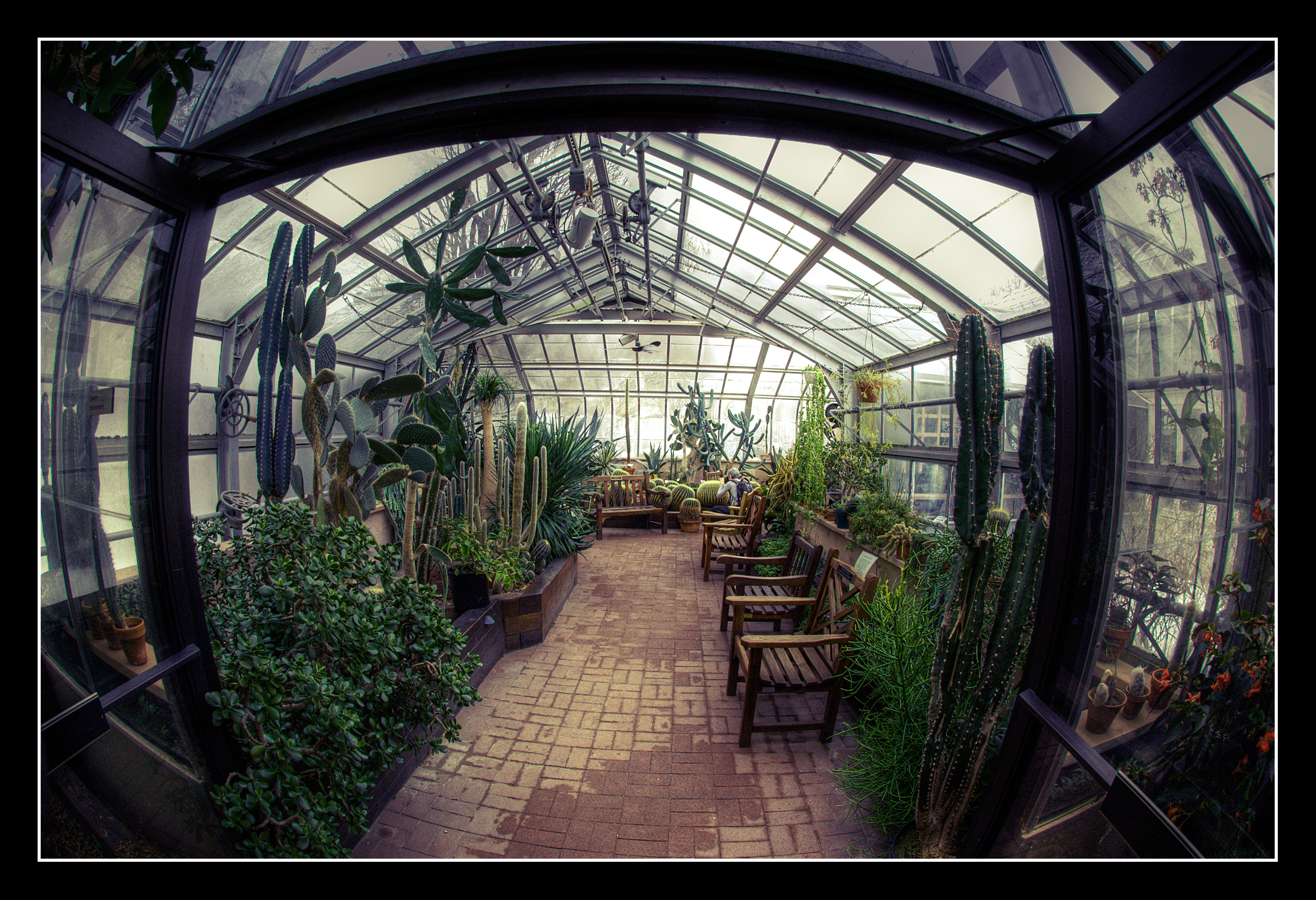 Framework for an indoor garden.
